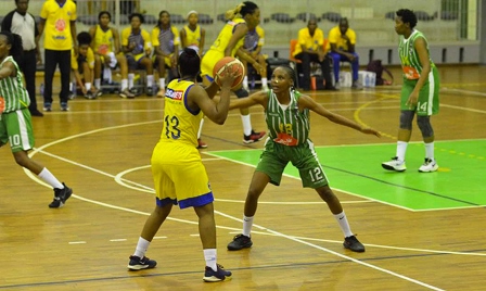 Liga Sénior em Basquetebol feminino pode conhecer hoje novo